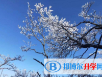 樂山2022年中考成績?nèi)绾尾樵? /><b>樂山2022年中考成績?nèi)绾尾樵?/b><span>2021-09-17 15:46</span><p>登陸當(dāng)?shù)亟逃块T的中考成績查詢網(wǎng)站查詢(教育網(wǎng)等等)。各個地市不一樣，考試可以輸入自己所在地百度一下，即可輕松查詢成績。要</p></a></h3></li>
            <li><h3><a href=