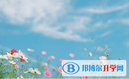 樂山2022年中考成績有沒D