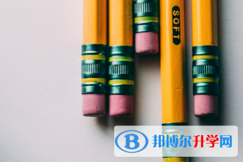 樂山2022年中考成績查詢網(wǎng)址