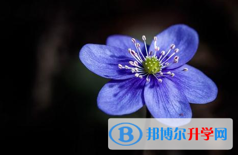 樂山2022年中考考號查詢
