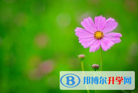 樂(lè)山2022年中考錄取名單查詢(xún)