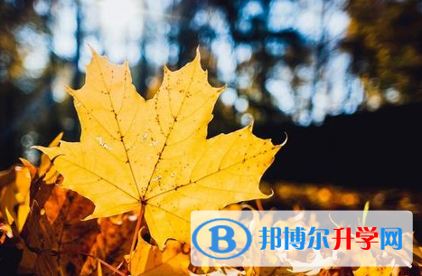 樂山2022年多久中考
