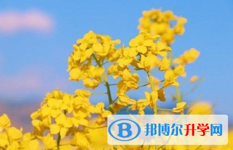 樂山2022年二類學校中考