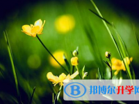 樂山2022年如何填中考學校