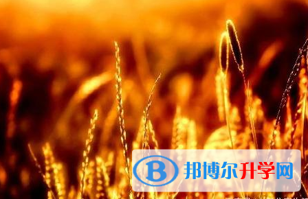 樂山2022年中考報考指南