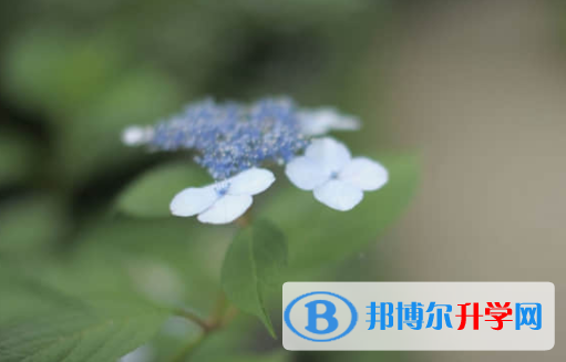 樂山2022年中考報(bào)名系統(tǒng)