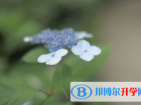 樂(lè)山2022年中考報(bào)名系統(tǒng)