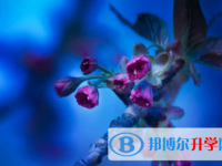 樂山2022年中考報名需要帶什么
