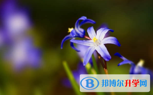 樂山2022年中考必考題