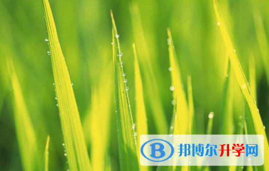 樂山2022年中考查詢網