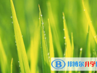 樂山2022年中考查詢網