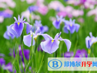 樂山2022年中考查詢網址