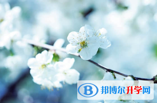 樂(lè)山2022年中考成績(jī)?cè)鯓硬樵? width=
