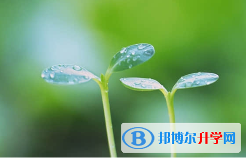 樂山2022年中考成績重點線