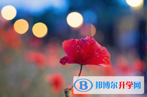 樂山2022年中考服務平臺