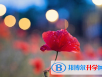樂山2022年中考服務平臺