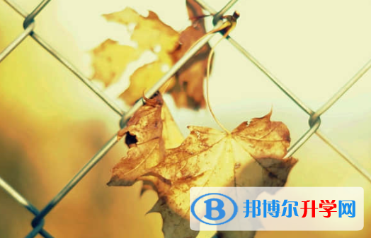 樂山2022年中考服務應用平臺
