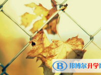樂山2022年中考服務應用平臺