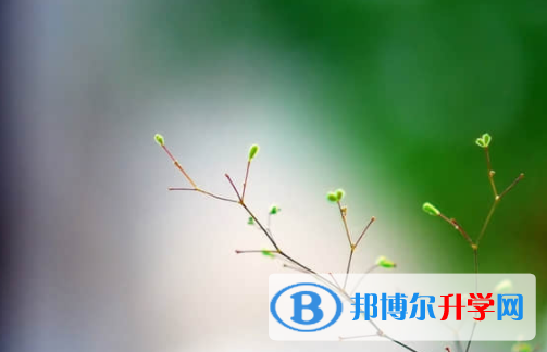樂山2022年中考規(guī)則