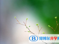 樂山2022年中考規則