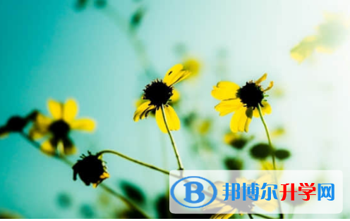 樂(lè)山2022年中考后如何錄取