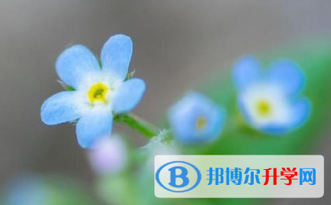 樂山2022年中考考點(diǎn)