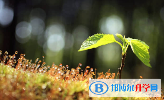樂(lè)山2022年中考課外閱讀