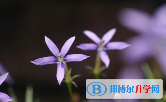 樂山2022年中考錄取報名網