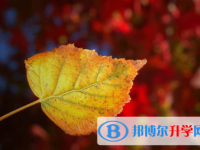 樂山2022年中考網報