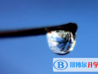 樂山2022年中考網登錄