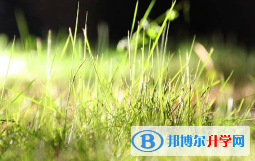 樂山2022年中考網絡登錄