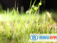樂山2022年中考網絡登錄