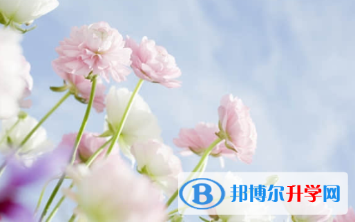 樂山2022年中考網絡服務平臺