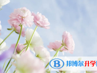 樂山2022年中考網絡服務平臺