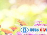 樂山2022年中考網絡服務應用平臺