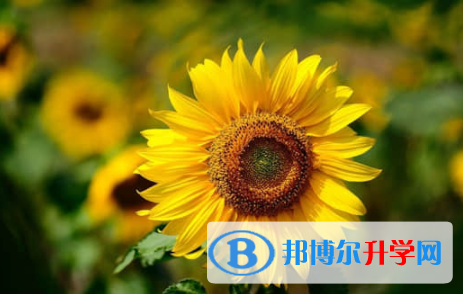 樂山2022年中考網絡平臺