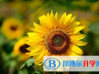 樂山2022年中考網絡平臺