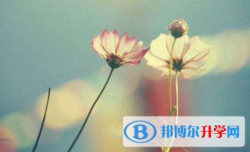 樂山2022年中考網絡應用平臺