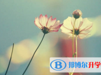 樂山2022年中考網絡應用平臺