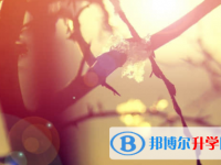 樂(lè)山2022年中考網(wǎng)上報(bào)名