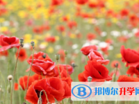 樂(lè)山2022年中考網(wǎng)上報(bào)名模擬