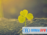 樂山2022年中考網上查詢