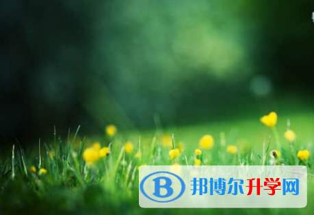樂山2022年中考網上模擬報名