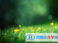 樂(lè)山2022年中考網(wǎng)上模擬報(bào)名