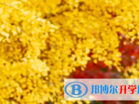 樂山2022年中考網中考查詢