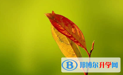 樂山2022年中考線預測