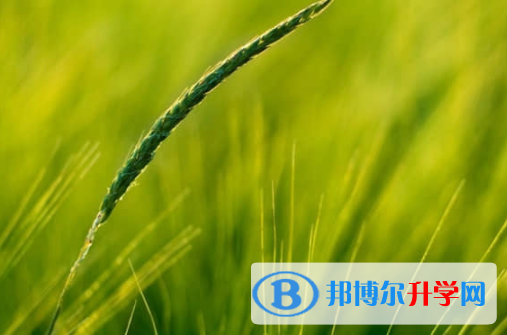 樂山2022年中考預估重點線