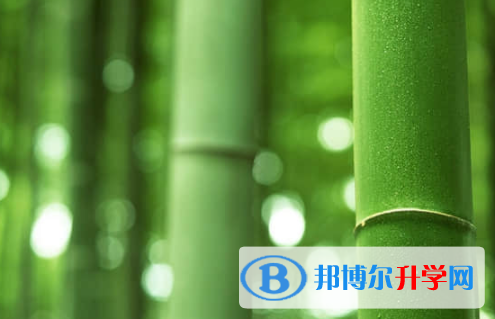 樂山2022年中考招生計劃查詢