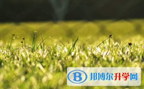 樂(lè)山2022年中考招生考試查詢系統(tǒng)