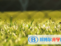 樂山2022年中考招生考試查詢系統
